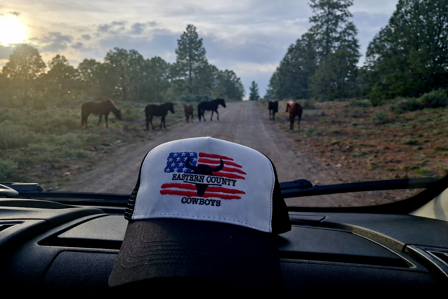 Eastern county trucker hat